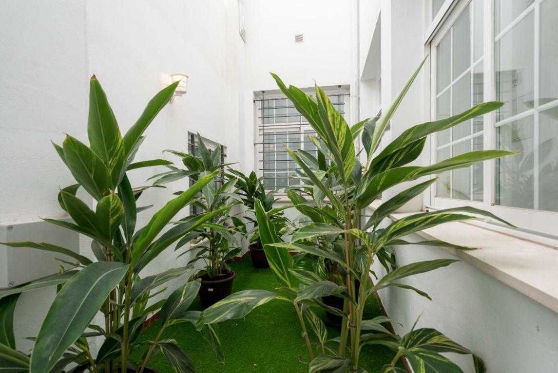 Ml1C-Prime Location Marble Apartment With Patios Малага Екстер'єр фото